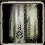 Fabric Pants +8 (INT)
