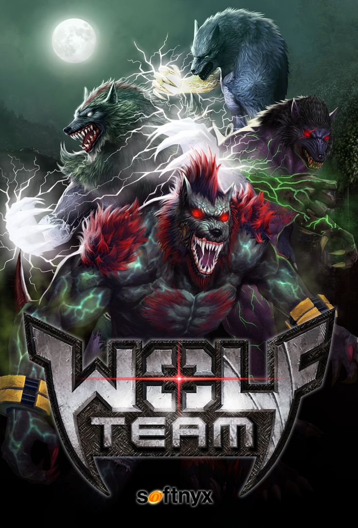 21.250 WolfTeam Nakit 