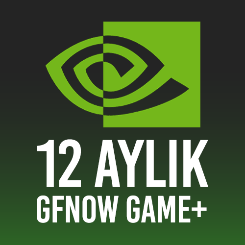 GeForce Now Game Plus Performance 12 Aylık