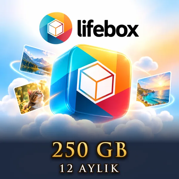 Lifebox 12 Aylık 250 GB