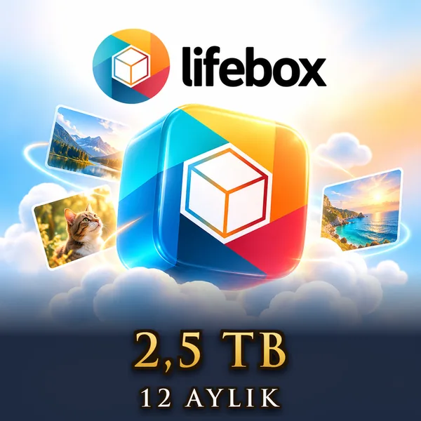 Lifebox 12 Aylık 2,5 TB
